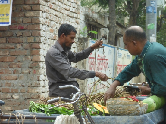 Street Vegetable Vendor 